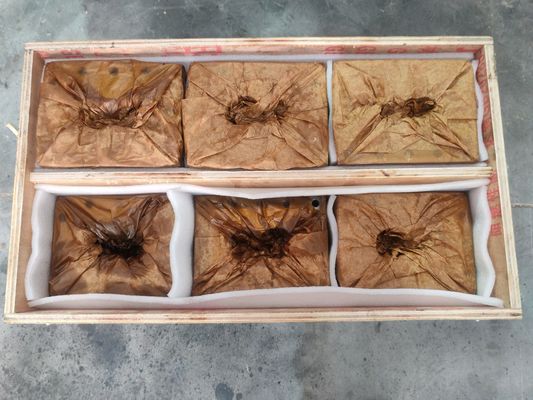 Экструдерная винтовая бочка для машины для переработки пластика